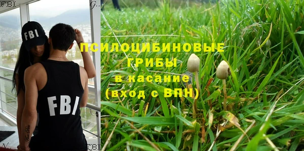 не бодяженный Арсеньев
