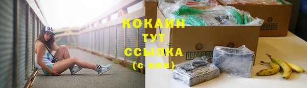 круглые Аркадак