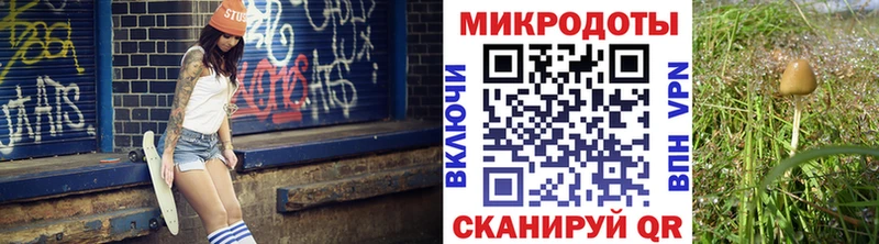 как найти наркотики Цивильск Псилоцибиновые грибы Psilocybe